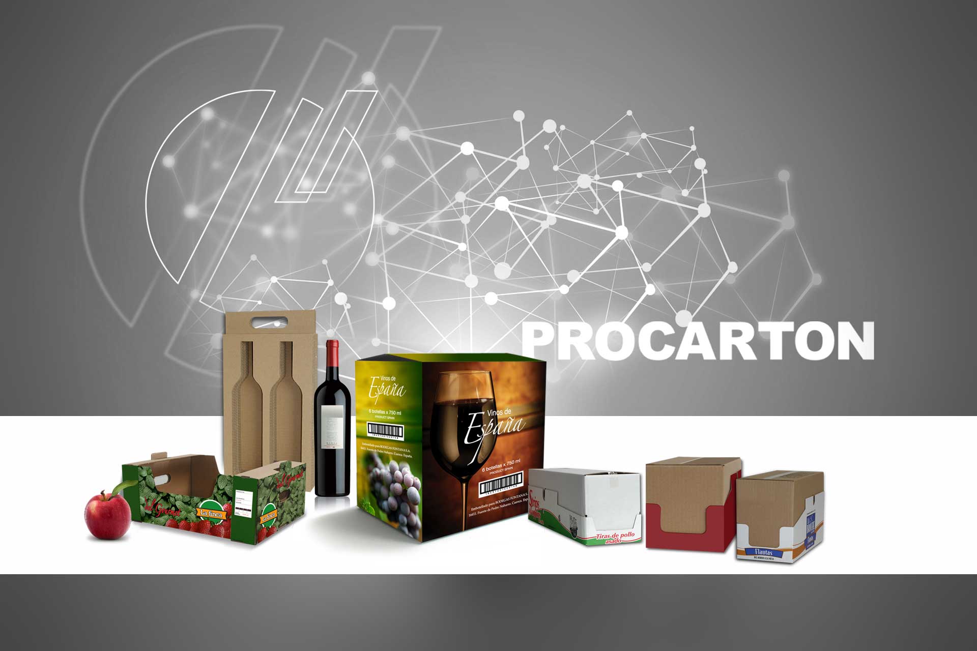 cajas-carton-ondulado-procarton-slider04