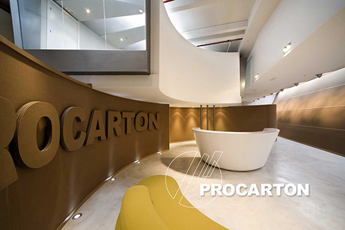 Cajas de cartón ondulado Procarton