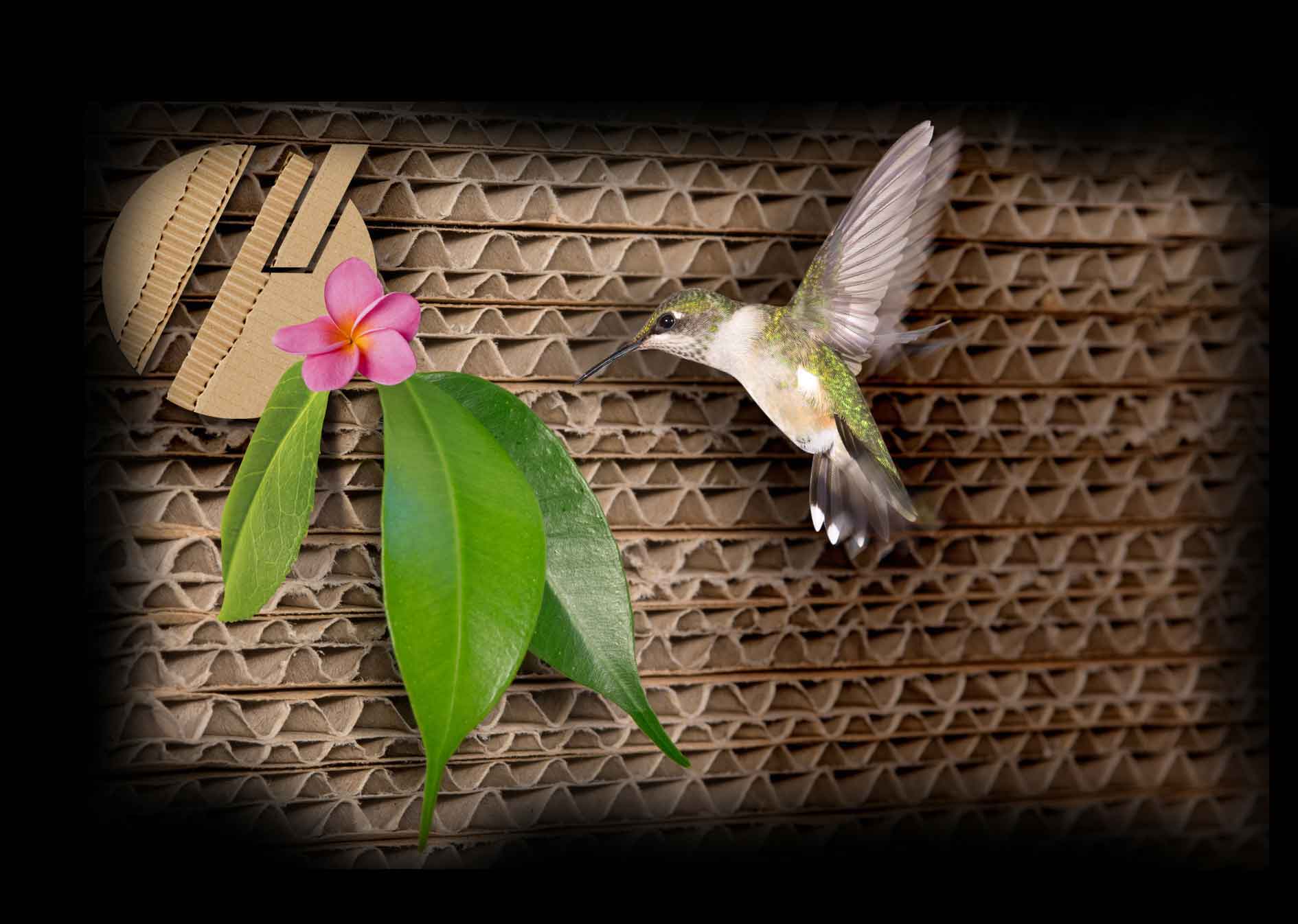 naturaleza 362